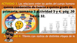 Maybe you would like to learn. Quinto Cuadernillo De Cuarto A Quinto Grado De Primaria Semana 3 Actividad 3 Y 4 Pag 30hasta 32 Youtube