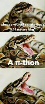 Snek Daily Lol Pics