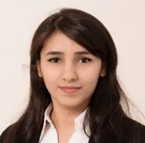 IH Communications Committee Team Members