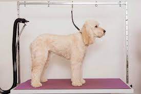 Frequent Grooming Is Good For You Dog As It Makes Him Feel Better And Look Better However Grooming A Dog Can Be A Dog Grooming Diy Dog Stuff Dog Grooming Diy