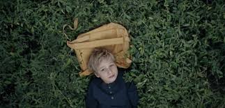 Abby Priest Archives — DIRECTORS' LIBRARY