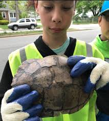 Hundreds Participate in Livingston's First Town-Wide Cleanup Day