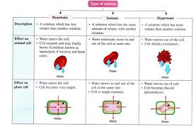 Check spelling or type a new query. Biol 1408 Lab Quiz 4 Flashcards Quizlet