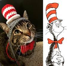 Bookish Pet Outfits For Literature Loving Critters Pet Costumes Cat Sweaters Cat Hat