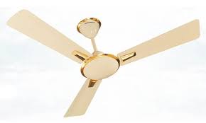 We did not find results for: 10 Best Ceiling Fan Brands To Buy Online In India For Home Office Looksgud Com