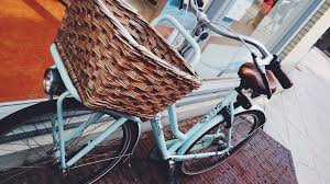 It Was Love At First Sight Miss Grace By Gazelle Bikes