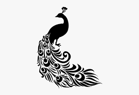 peacock silhouette png peacock feathers png image peacock clipart png transparent png transparent png image pngitem peacock clipart png transparent png