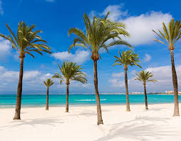 Goedkope Vakantie El Arenal 2020 De Vakantiediscounter