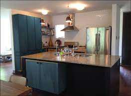 Sherwin Williams You Are A Genius Kitchen Design Small Modern Kitchen Design Modern Kitchen Cabinets