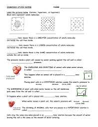Animal Cell In Hypertonic Solution What Happens