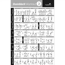 Buy Dumbbell Workout Exercise Poster Now Laminated