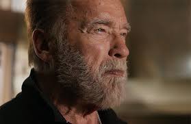 How Zimmer Biomet's CEO recruited Arnold Schwarzenegger