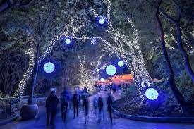 Griffith Park Los Angeles Zoo Lights Los Angeles Zoo Los Angeles Parks