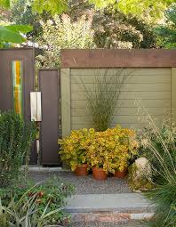 Image result for Oropetium capense