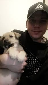 Alola Pokemon pairings and Solgaleo count