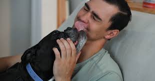 Lollypop Farm's first 150 years reflect massive improvements in the lives  of animals