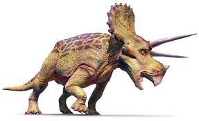 Have fun making trivia questions about swimming and swimmers. Quiz Yourself On Dinosaurs True Or False Quiz Dinosaurs And Prehistoric Life Lessons Dk Find Out