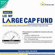 Where To Invest? Large-Cap, Mid Cap Or Small Cap Mutual Funds