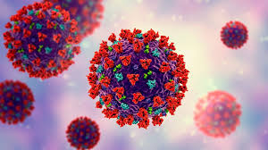 https://file1.science-et-vie.com/var/scienceetvie/storage/images/1/1/0/110693/dossier-coronavirus-suivez-les-recherches-sur-pandemie.jpg?alias=exact1024x768_l