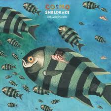 Birthday Suit Cosmo Sheldrake Lyrics Meaning Cosmo Sheldrake Very Excited To Share A New Song From My Facebook