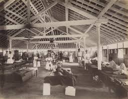 How the 1896 Bombay Plague Changed ...