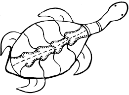 Aboriginal Animal Colouring Pages Get Coloring Pages