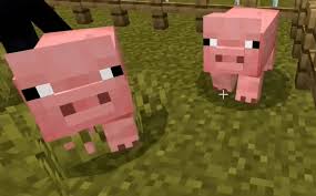 I created this tutorial to help explain how to breed pigs in minecraft, i hope the video helps everyone either your a beginner or regular player that has for. How To Breed Pigs In Minecraft Pig Breeding Tutorial