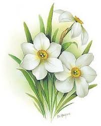 Flower Of The Month December Narcissus Select Size Ceramic Waterslide Decals Bx Ebay In 2020 December Flower Tattoo Narcissus Flower Tattoos Birth Flower Tattoos