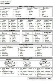 1) tabiat pemakanan haiwan terbahagi kepada 3 iaitu: 9 Nota Sains Tahun 3 Ideas In 2021 Science Lessons Photos 2016 Malay Language