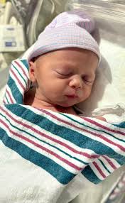 Were porta potty lines excessively long at the race?