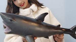 Lifelike Baby Shark 2020 Your Anti Stress Shark Youtube