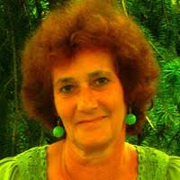 PDF) Chemical characteristics of the water and sediment of the Crig/Körös  river system