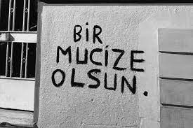 Peki meb ziya selçuk kimdir. Patlicanyaptimyicenmi Adiminapcan09 Twitter
