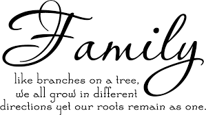 Microsoft word als download bei qualityhosting bestellen und direkt anwenden. Quotes About Family Coming Together 29 Quotes