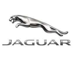 Kepanasan cecair benih lelaki tua disambut dengan ledakan nafsuku sendiri. Jaguar Car Models List Complete List Of All Jaguar Models