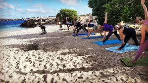 We did not find results for: Body Mind Bonaire Next Week The Last Pilates And Yoga Classes Of This Year Thereafter Bodymind Bonaire Will Take A Little Holiday Break Wishing You A Nice Weekend And Hope You Will
