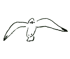 「かもめ イラスト」の画像検索結果