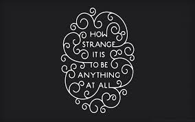 All page numbers and citation info for the quotes below refer to the bantam classics edition of alice's adventures in wonderland published in 1984. Alice In Wonderland Quotes Wallpapers Top Free Alice In Wonderland Quotes Backgrounds Wallpaperaccess