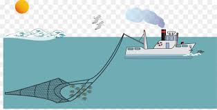 Fishing Cartoon Png Download 1293 654 Free Transparent Fish Png Download Cleanpng Kisspng Need fishing images and vectors? fishing cartoon png download 1293 654