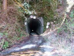 「193　素堀トンネル」の画像検索結果