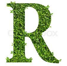 Learn more about the skincare brand's colorful rose mask that looks just as good on your shelf as it does on your face. Letter R Alphabet Of Green Leaves On Stock Image Colourbox