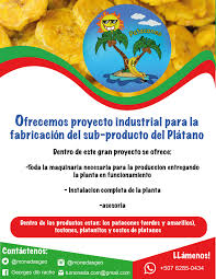 georges dib racho (@monedasgeo)