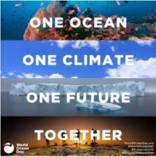World oceans day 2021 is approaching and this year's theme is the ocean: 3i7zoy6erzmlgm