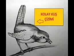 Resimci Abi Youtube 2020 Kus Cizimi Kus Cizim