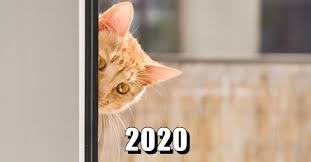 Some of the other ways are reading funniest quotes and sayings that make you smile. 2020 Lolcats Lol Cat Memes Funny Cats Funny Cat Pictures With Words On Them Funny Pictures Lol Cat Memes Lol Cats