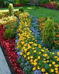 Bright Primary Color Combo Of Red Blue And Yellow Annuals To Kick The Weekend Off This Was Annual Flower Beds Design Annual Flower Beds Flower Bed Designs