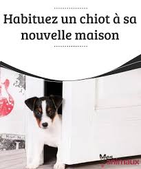 Epingle Sur Dressage