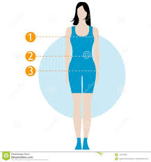 Female Body Measurement Chart Figure Of The Girl Model In