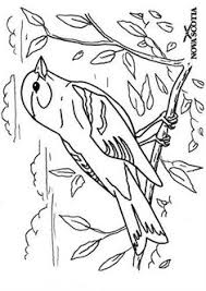 Maybe you would like to learn more about one of these? 44 Best Photos Blue Jays Ideas Bird Coloring Pages Cool Coloring Pages Coloring Pages