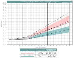 Prenatal Nutrition Guidelines For Health Professionals